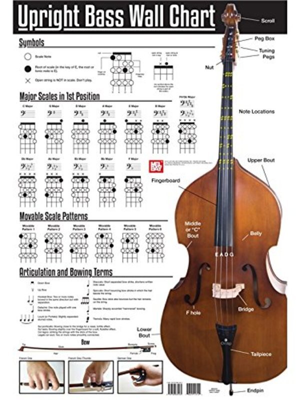 Upright Bass Wall Chart