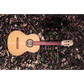 Kremona S65CGG Sofia Green Globe Classical Guitar with Premium Case Pack - LAST ONE!